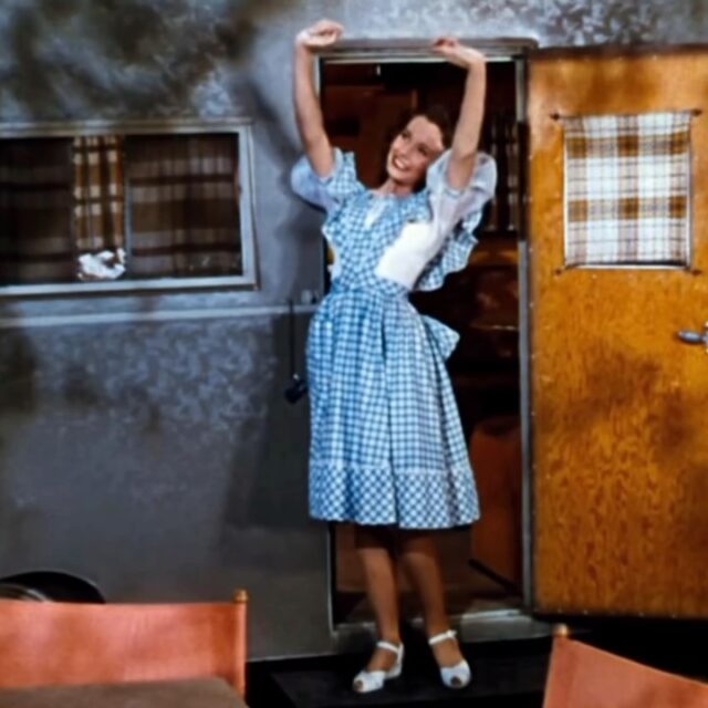 Happy Saturday, 
looking forward to a day at home, watching tennis, gardening, decobwebbing - the house is full of them.
Doggie walks and haven't got to be anywhere just pottering - love it 
#saturday #vintage #home #weekend #enjoy